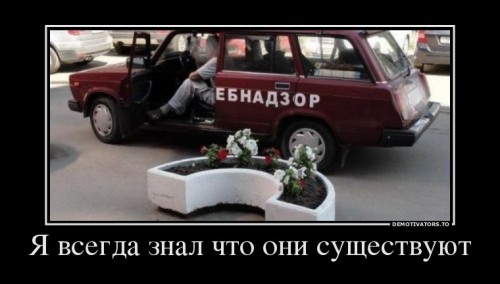 31462262.jpg