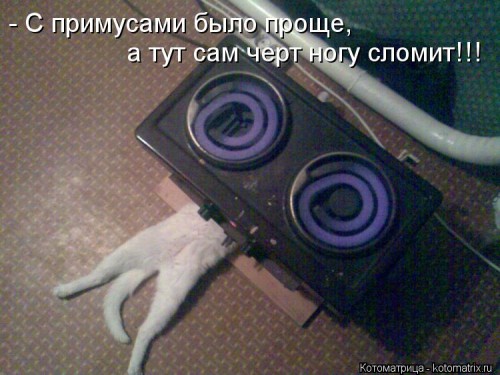 kotomatritsa_Jn.jpg