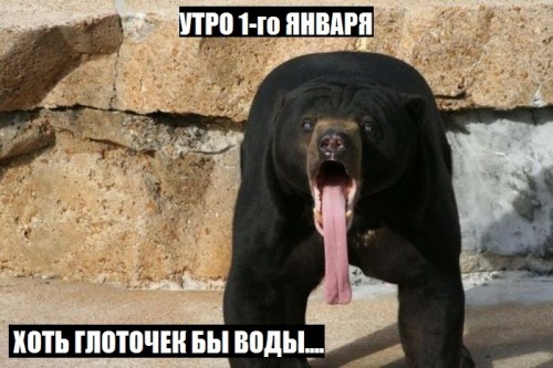 1388104347_1-81.jpg
