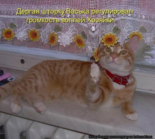 109459119_large_1.jpg