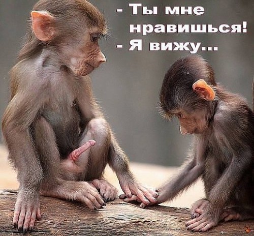 getImage.jpg