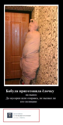 13_1.jpg