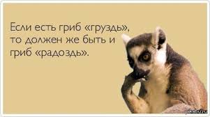 BsDby2vfCsM.jpg