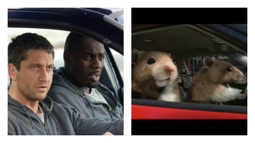 collage1.jpg