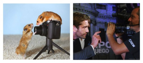 collage44.jpg