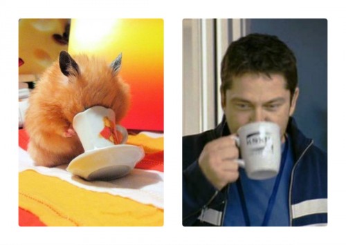 collageчайку.jpg