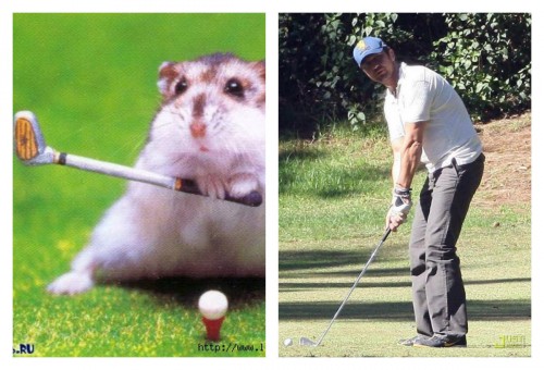 collage61.jpg