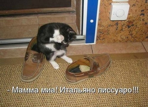 sI3GKWy11TE.jpg