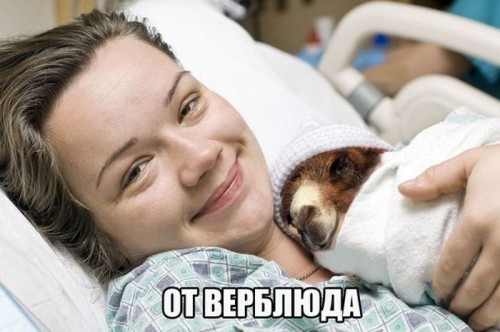 1393549429_1-35.jpg
