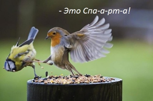 OiX4vFAcDNU.jpg