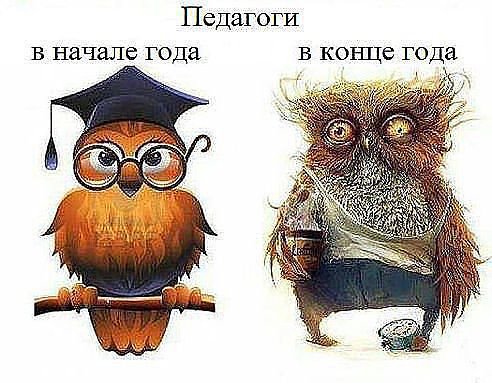 eBkDOovohdU.jpg