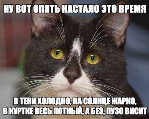 ehxW-QeJDoQ.jpg