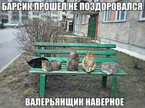 -8aw53-oG38.jpg