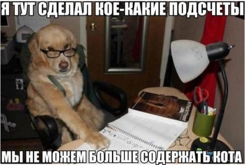 QIvEwgRn7LA.jpg