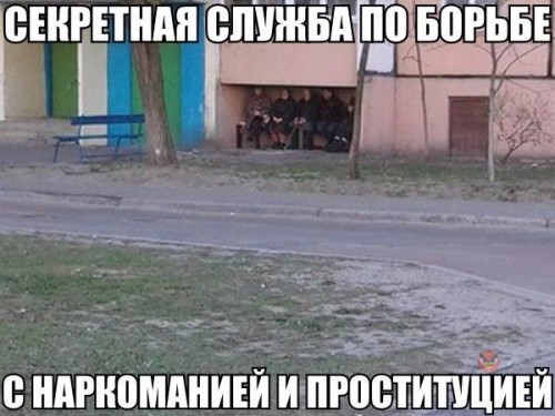 7FHwgDJpyeM.jpg