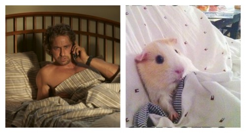 collageжж.jpg