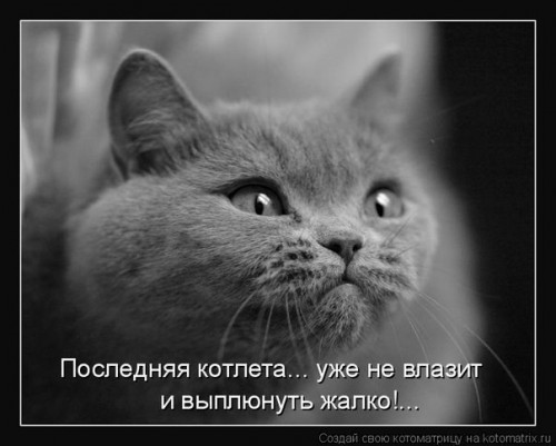 tqxr4fGgtJo.jpg