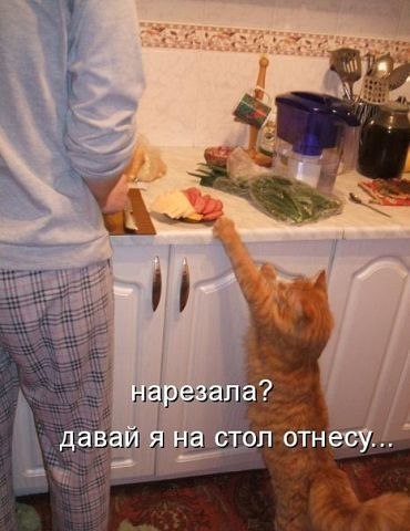 wLzjZ4OYk9E.jpg