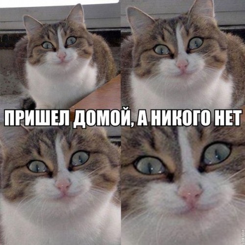 cX3w2TxiZ3E.jpg