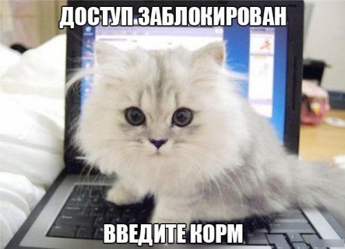 seqYot32AwI.jpg