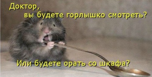 oZIVosLrH2k.jpg