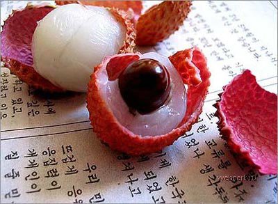 04_1107_lychee.jpg