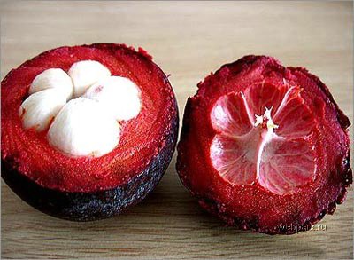 06_1107_mangosteen.jpg