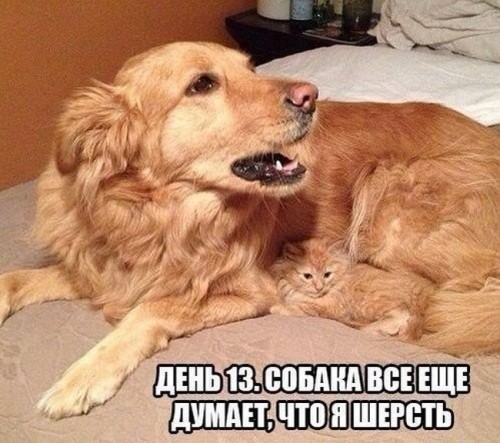 1397696990_1-55.jpg