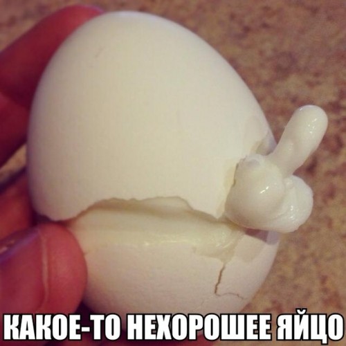 1398040247_1-5.jpg