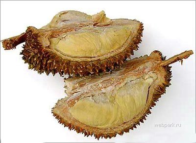 08_1107_durian.jpg