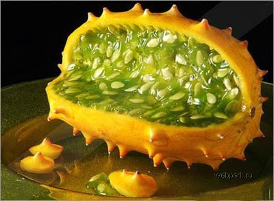 10_1107_african_horned_cucumber.jpg