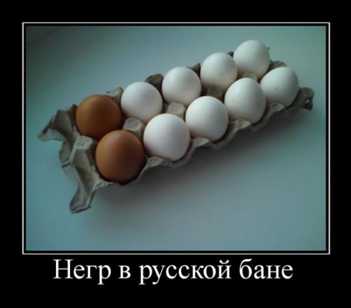 8994841674df7934d75330.jpg