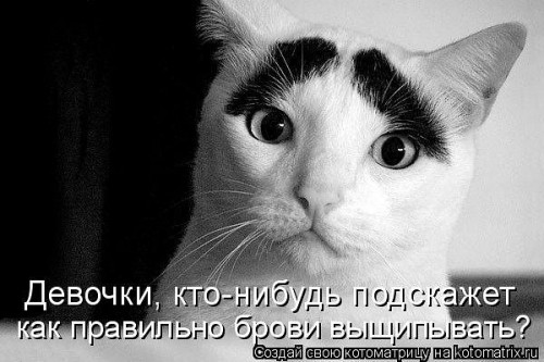 getImageCA2N2ADT.jpg