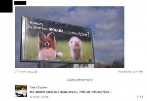 1399506035_1-8.jpg