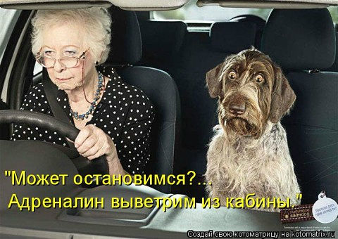 getImageCASBIW3Z.jpg