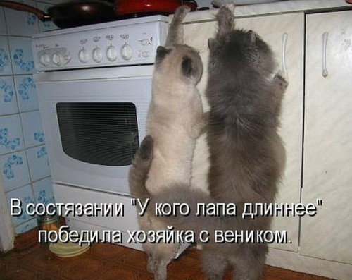 getImageCASOAN9E.jpg
