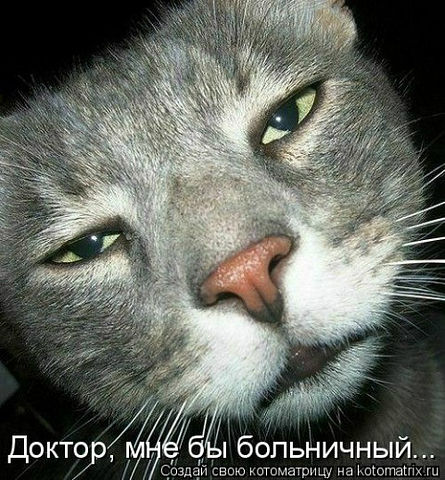 getImageCAR0FDAJ.jpg