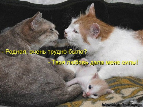 getImageCAGHTE2E.jpg