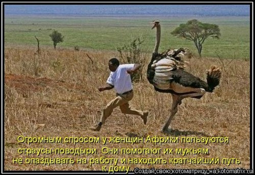 getImageCAAJ2AA3.jpg