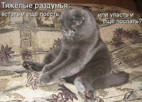 mRhV56dehjQ.jpg