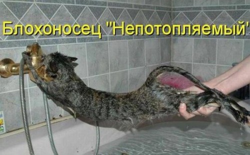 VvYqvw_e_38.jpg