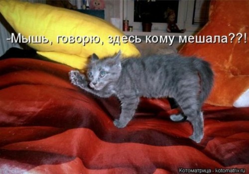 0d8f67.jpg
