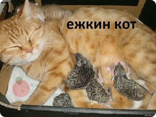 getImage.jpg