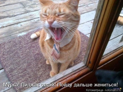 adba2f.jpg