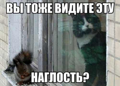e318a3.jpg