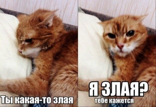 ghQCMpWn8GU.jpg