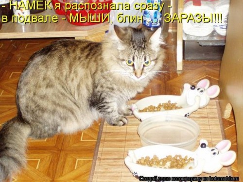euqOmdbdM8o.jpg