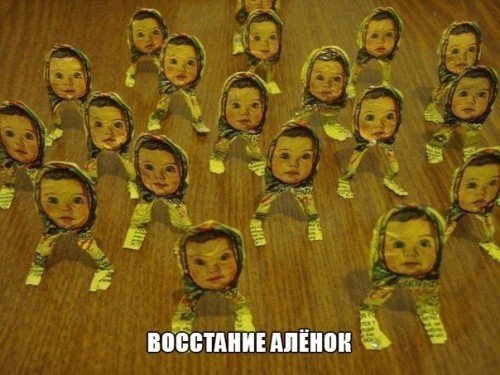 0bcd7a.jpg