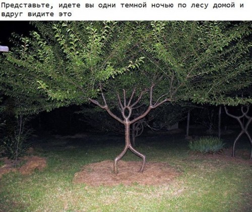 1eb3f6.jpg