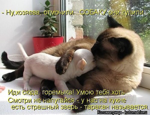getImage.jpg